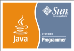 SJCP - Sun Java Certified Programmer